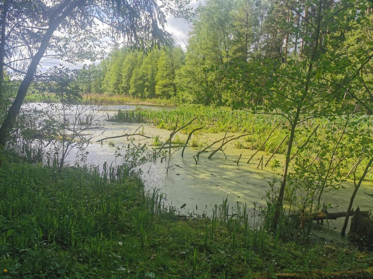 Przystan Ramotowo Villa Лидзбарк Вармински Екстериор снимка